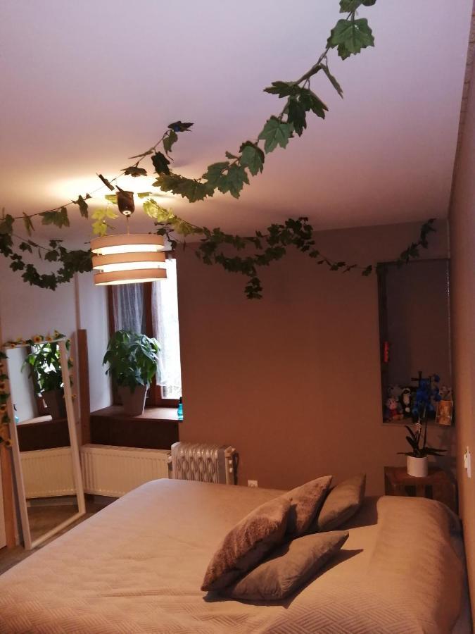 "Les Chaillottes" Chailles  ภายนอก รูปภาพ